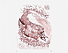 Frozen maral blood